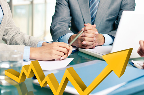 丽江市营业执照被吊销后法人股东有什么责任?