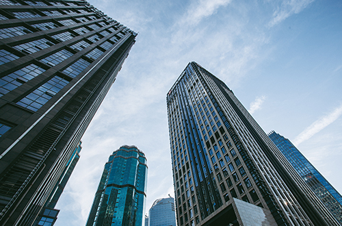 杭州营业执照被吊销后法人股东有什么责任?